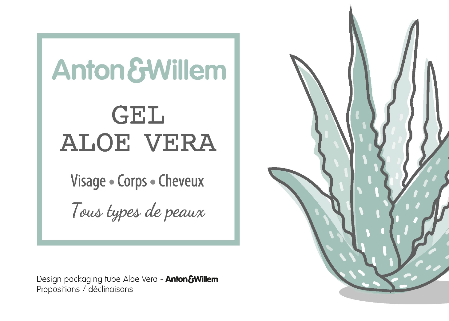 Gamme Aloe Vera - Image 1